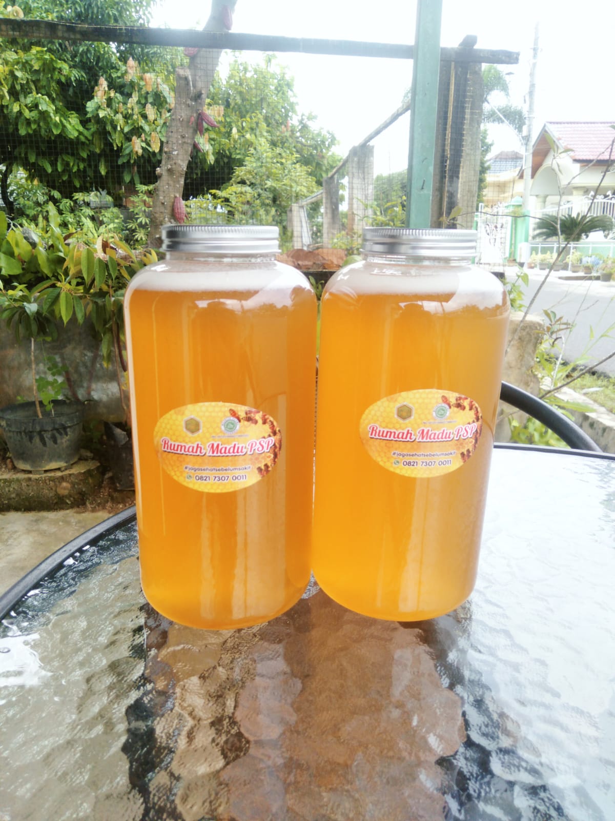 Madu Hutan ( Dorsata ) 1 Liter